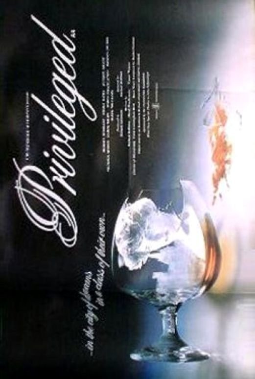 Постер Privileged
